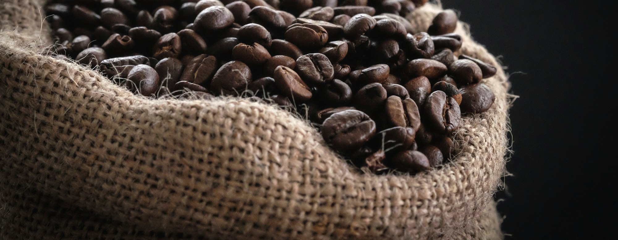 Roasted coffee beans in a burlap sack